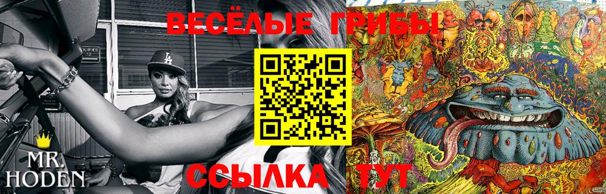 Псилоцибиновые грибы мухоморы  Вход с VPN  Десногорск  Псилоцибиновые грибы GOLDEN TEACHER 