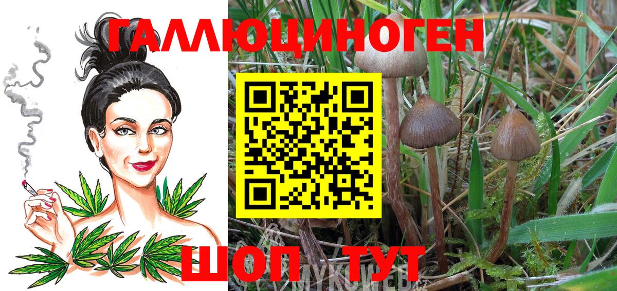 Псилоцибиновые грибы GOLDEN TEACHER Десногорск